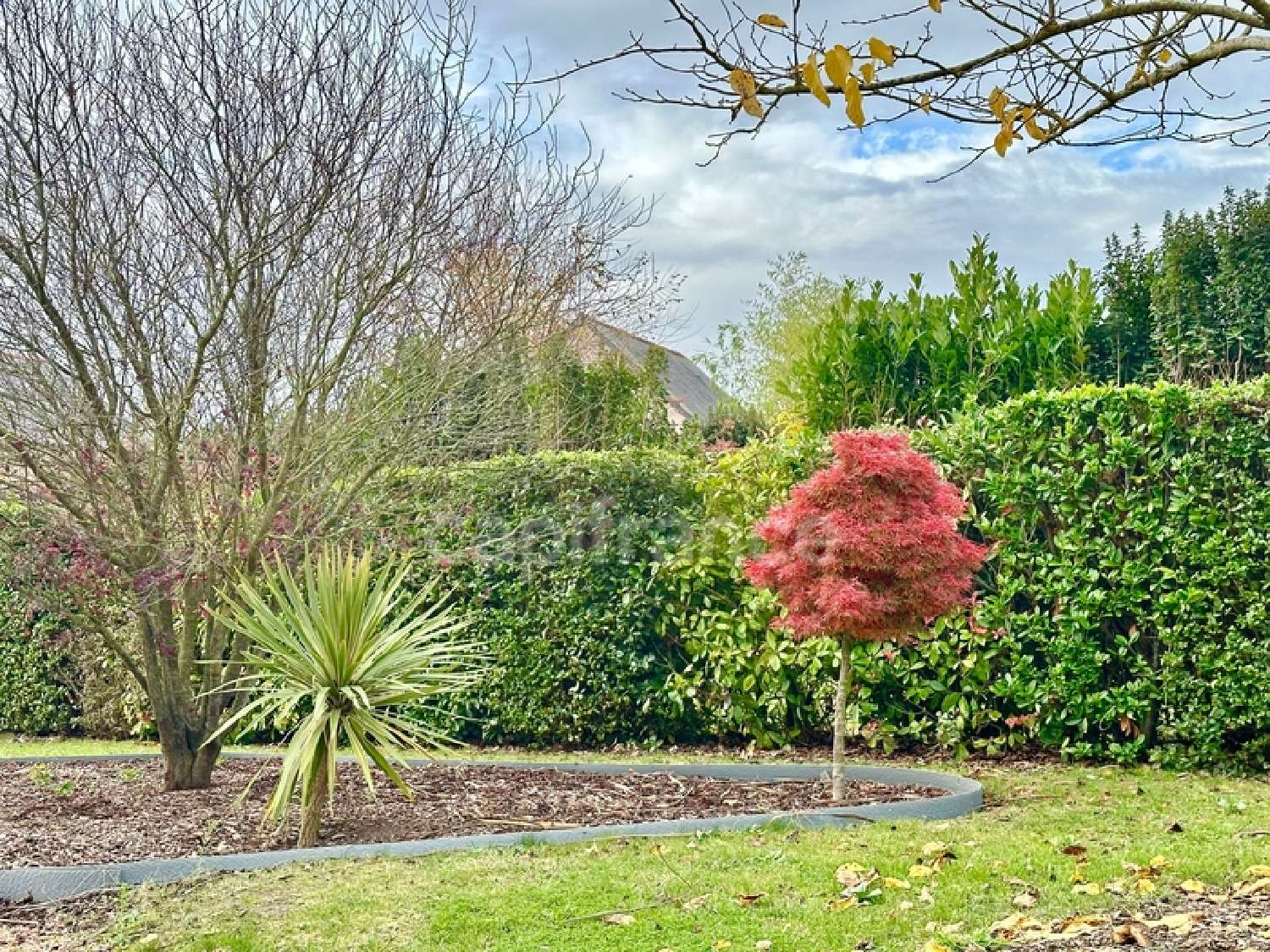 à vendre maison Meigné Maine-et-Loire 3