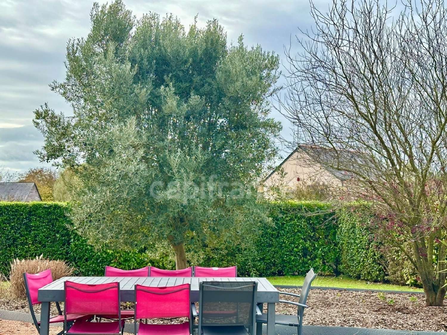 à vendre maison Meigné Maine-et-Loire 7