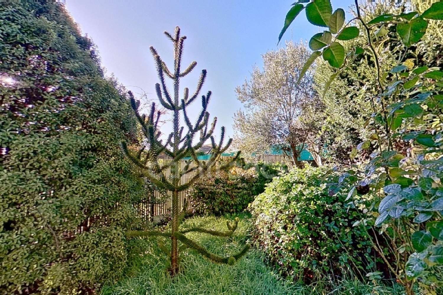  te koop huis Ménéac Morbihan 7