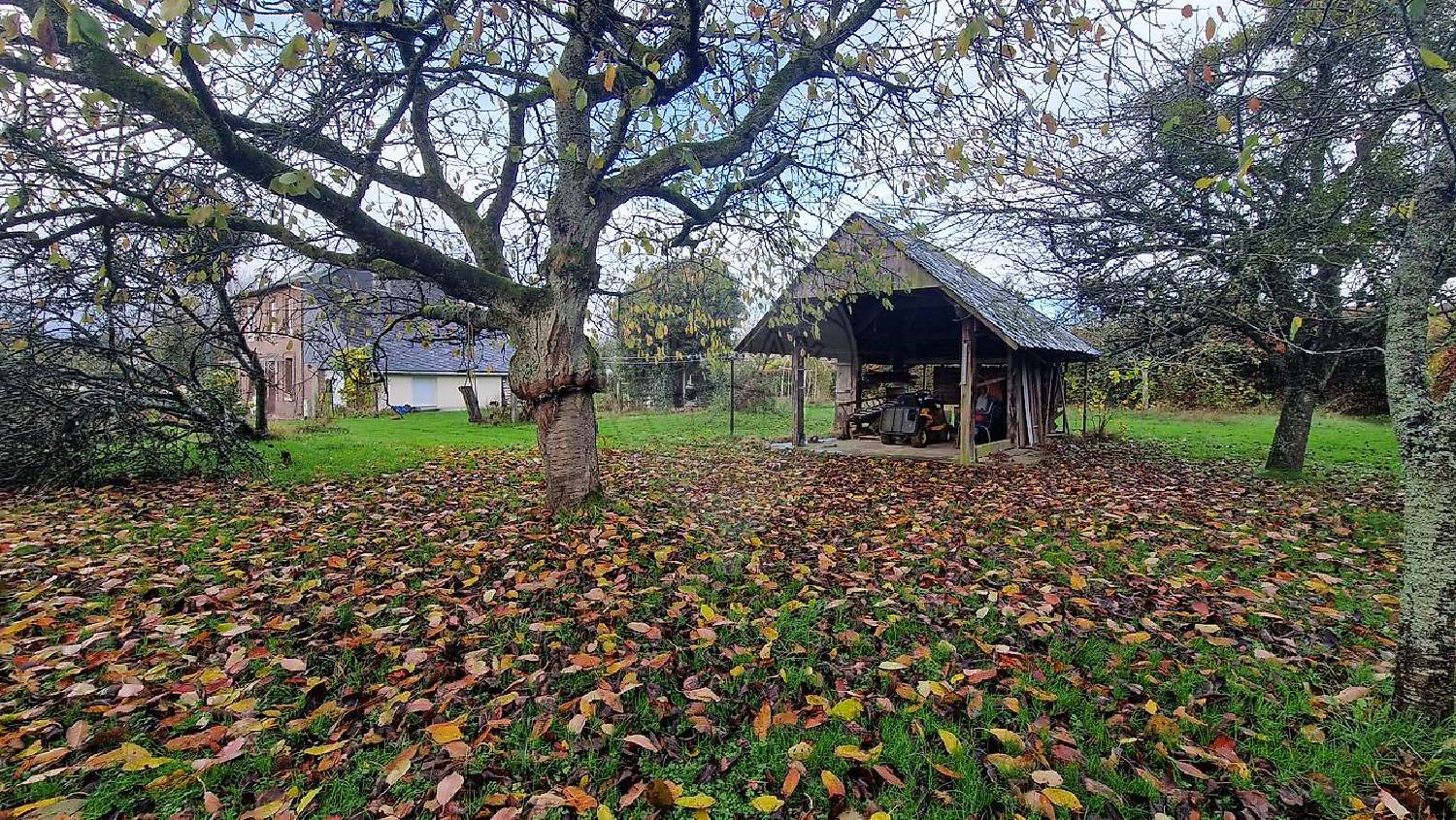 kaufen Haus Mesnil-Raoul Seine-Maritime 5