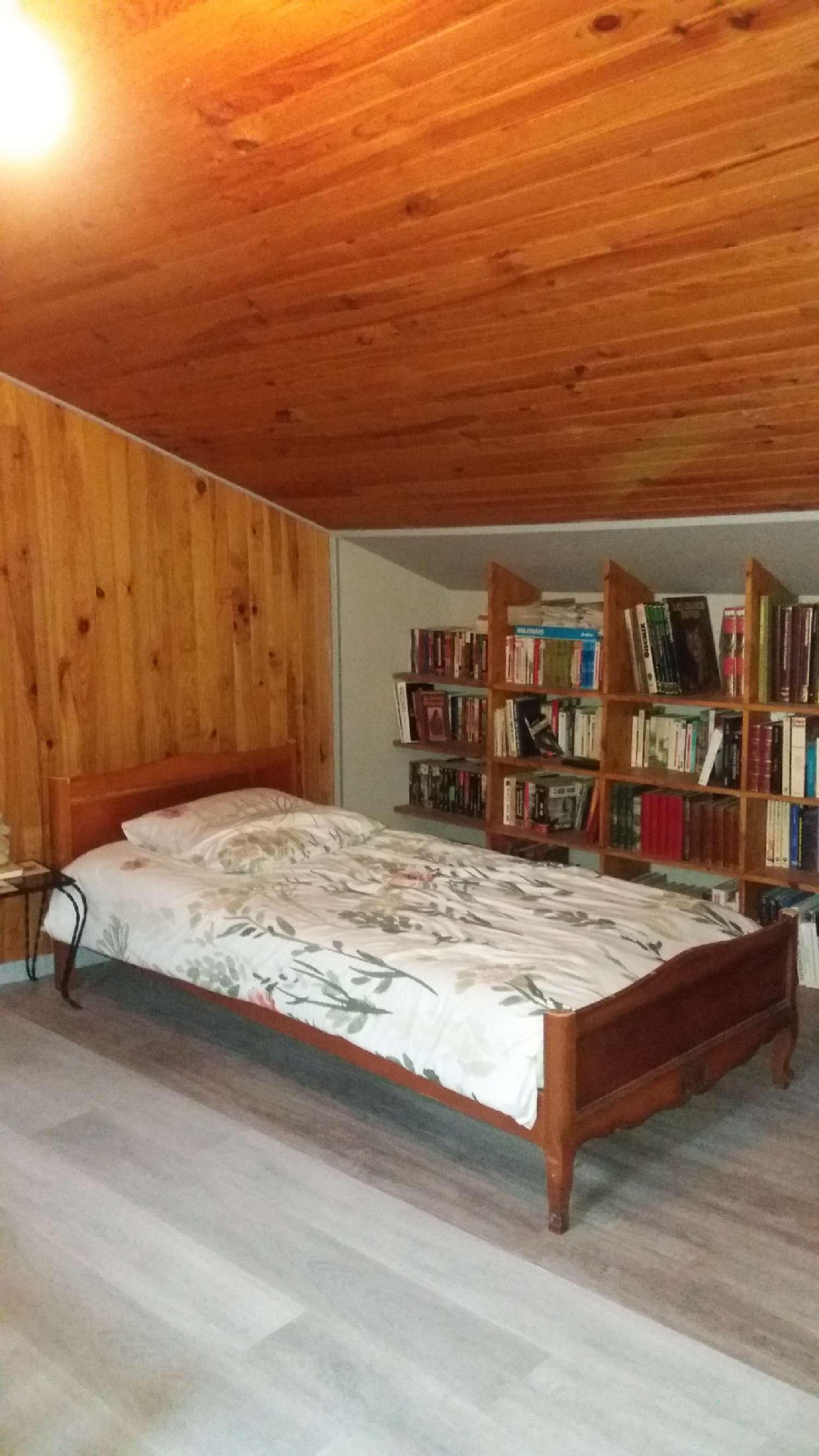 te koop huis Messais Vienne 7