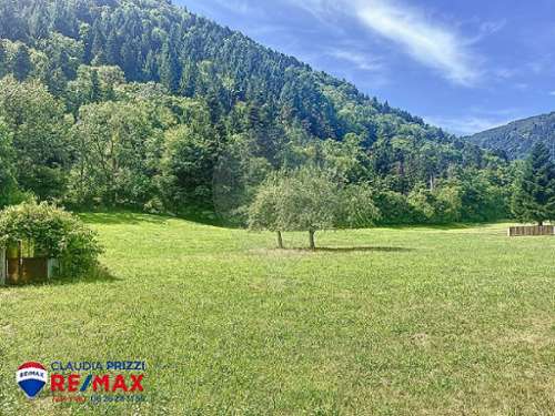 Metzeral Haut-Rhin maison foto 7229897