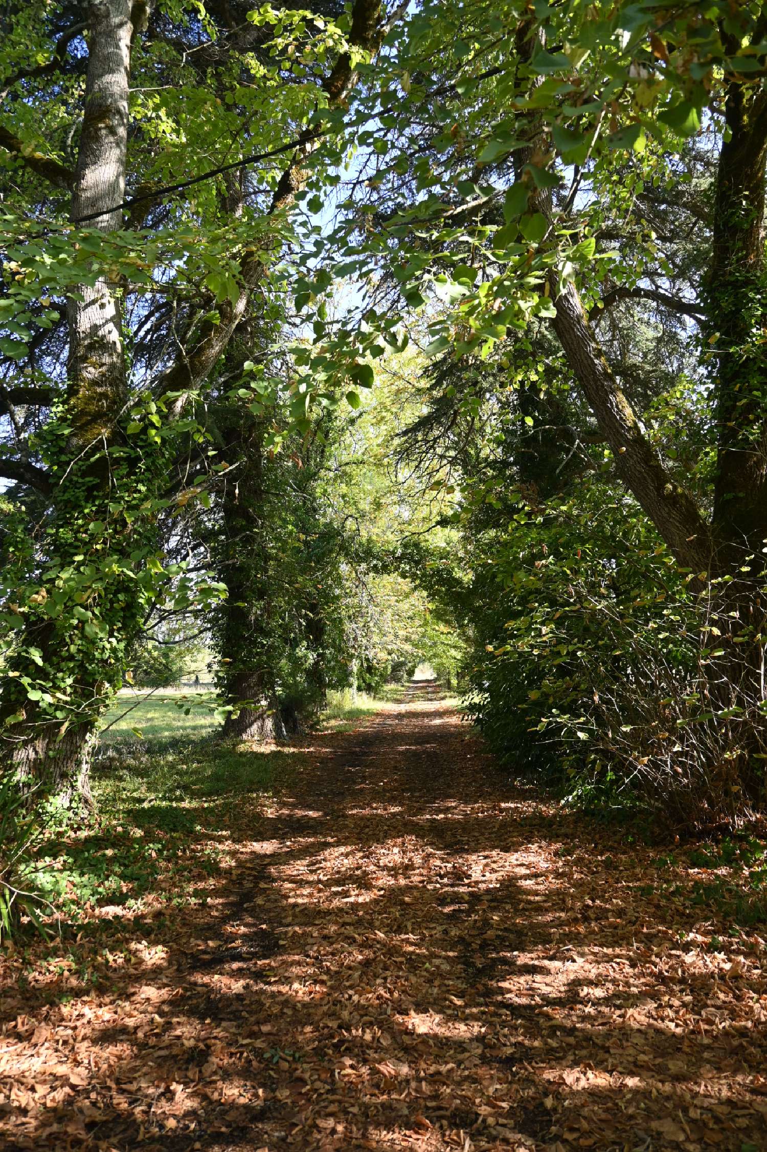  kaufen Haus Miramont-de-Guyenne Lot-et-Garonne 3