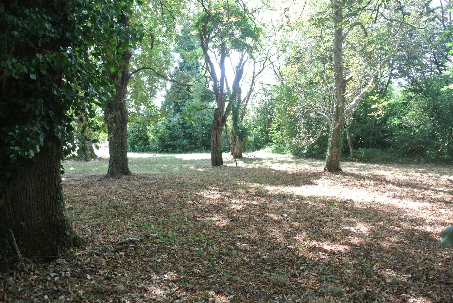  kaufen Haus Miramont-de-Guyenne Lot-et-Garonne 4