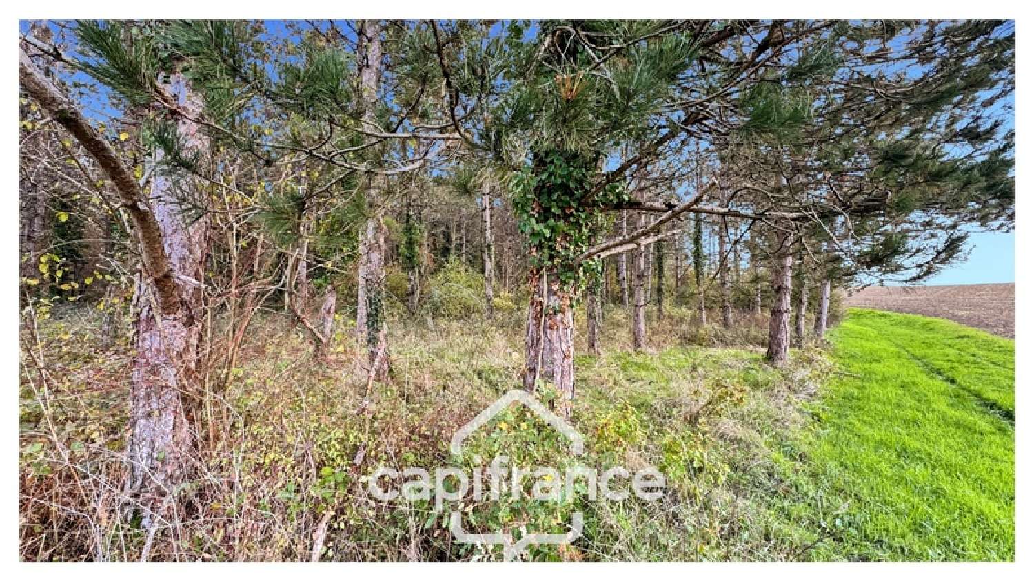 à vendre maison Monflanquin Lot-et-Garonne 4