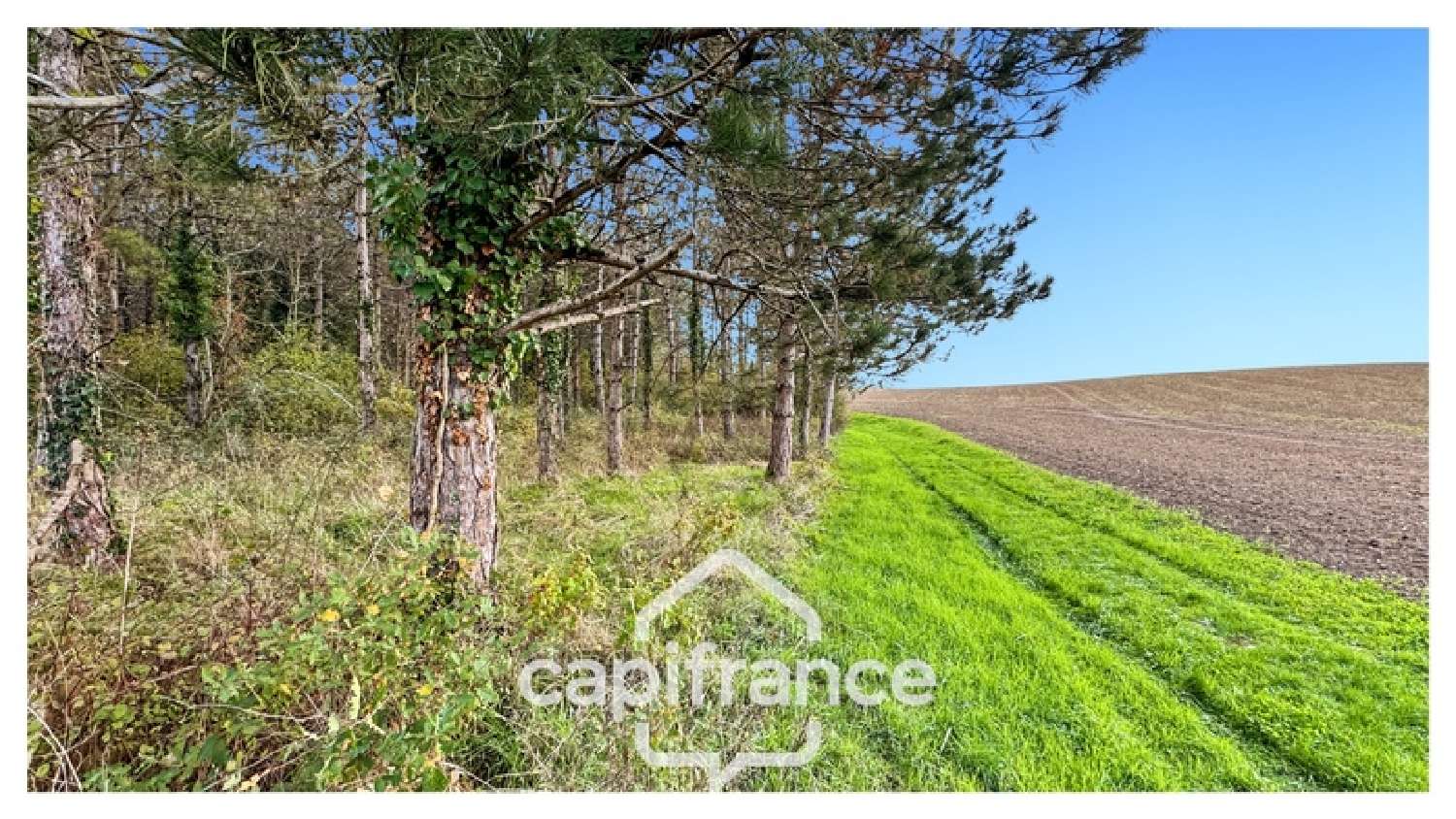 à vendre maison Monflanquin Lot-et-Garonne 5