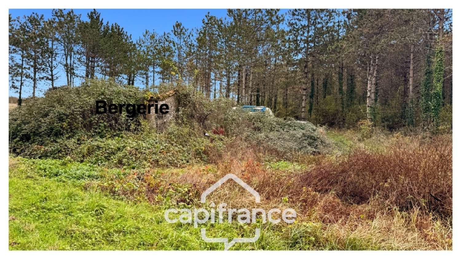 à vendre maison Monflanquin Lot-et-Garonne 6