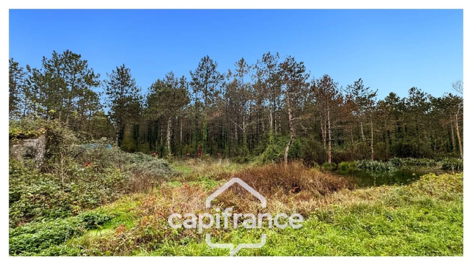 à vendre maison Monflanquin Lot-et-Garonne 7