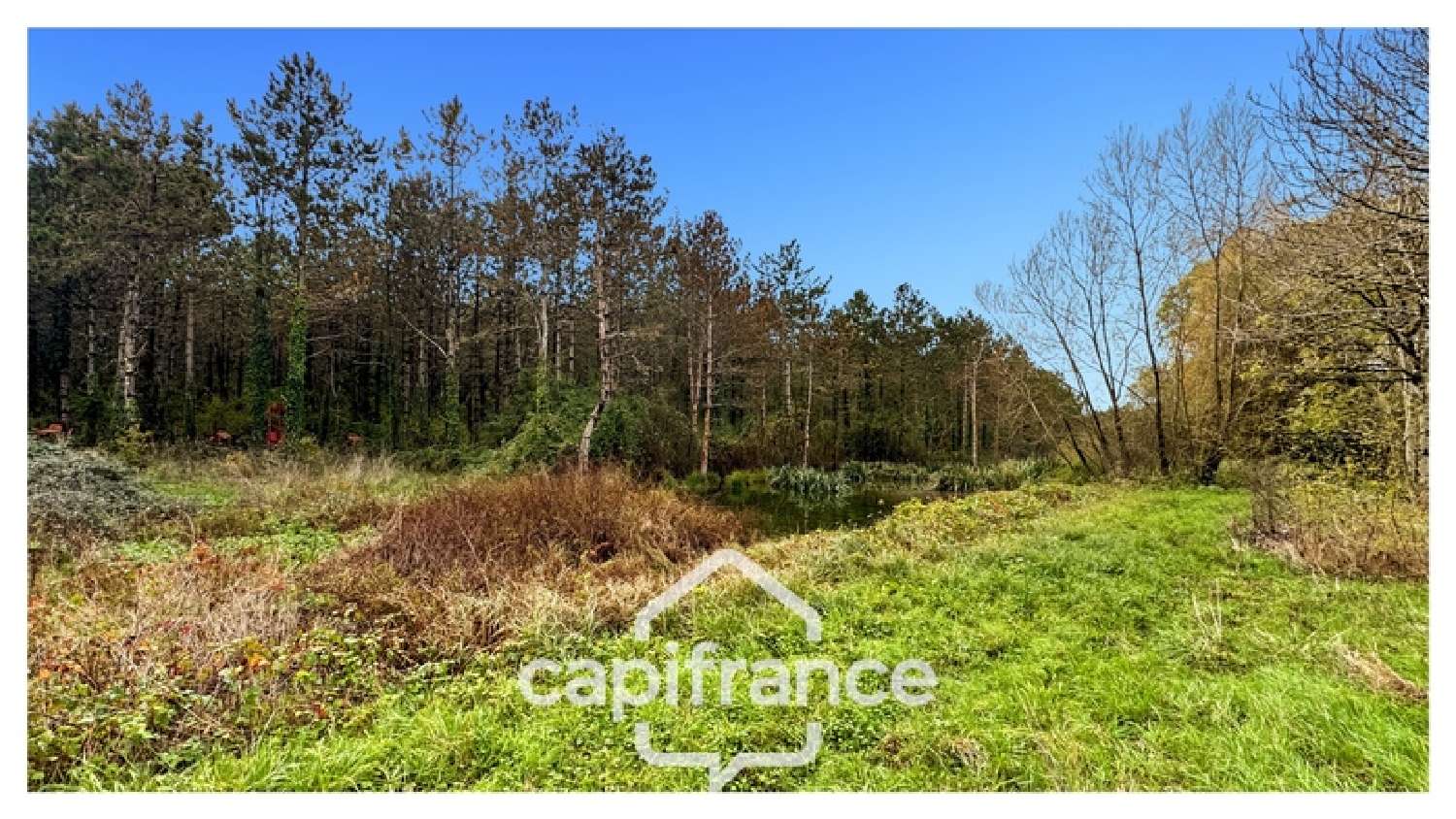 à vendre maison Monflanquin Lot-et-Garonne 8