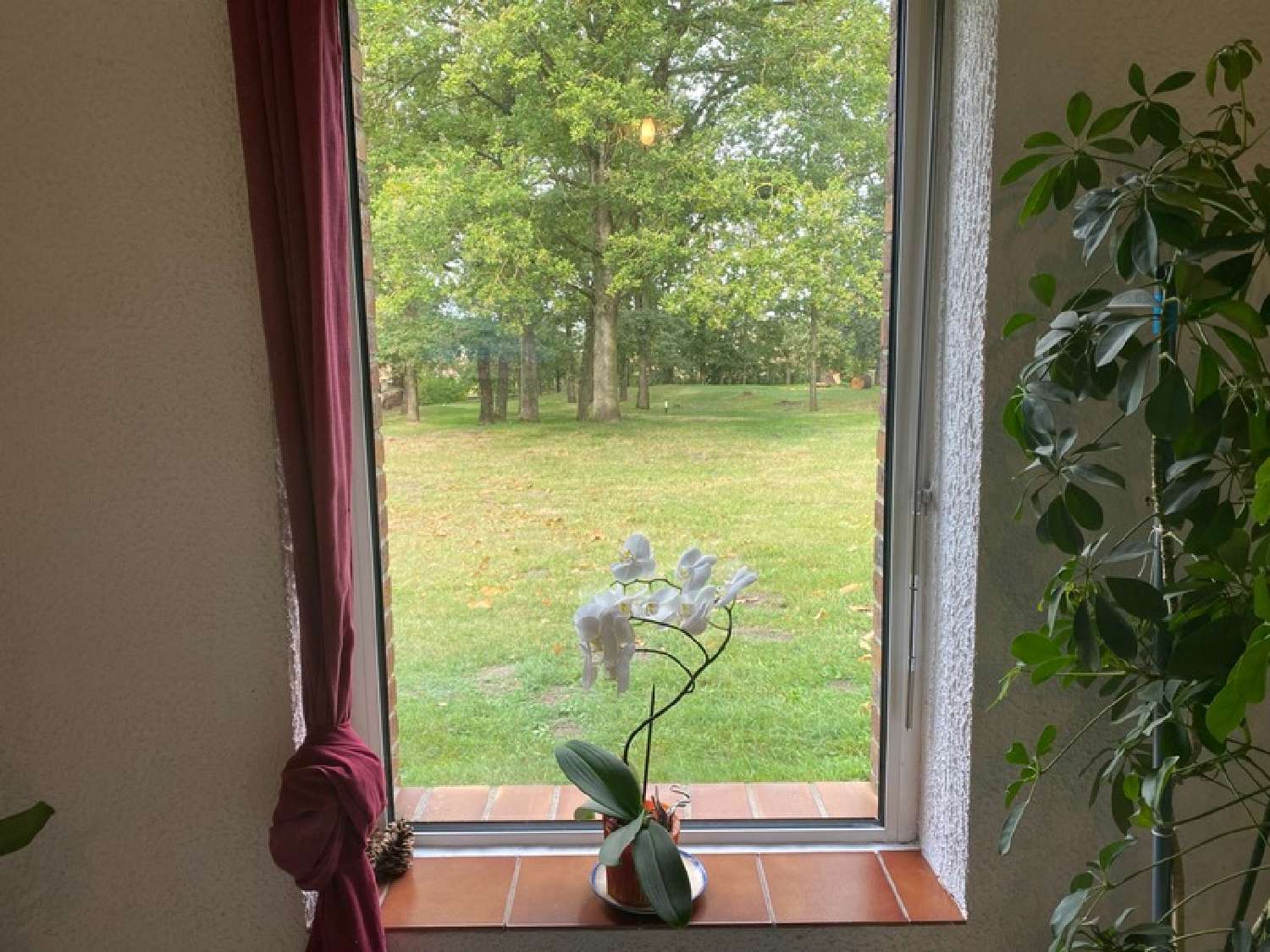  te koop huis Mont-Notre-Dame Aisne 6