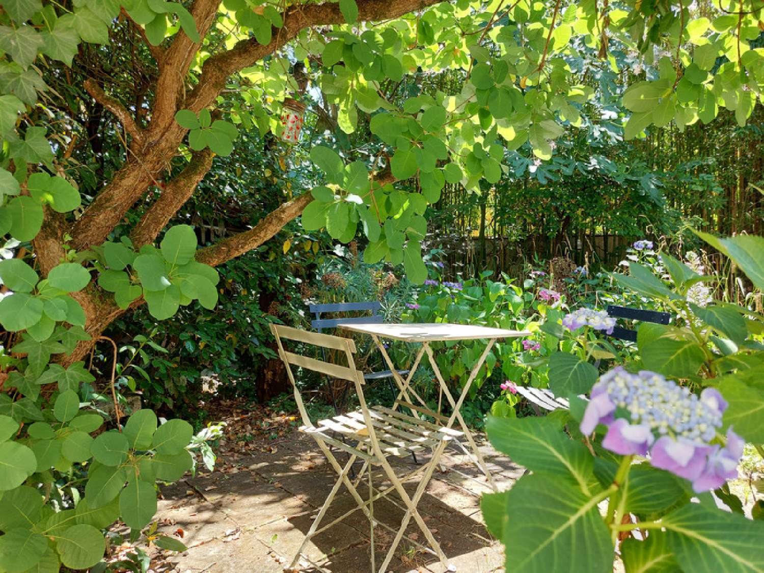 kaufen Haus Montauban Tarn-et-Garonne 3