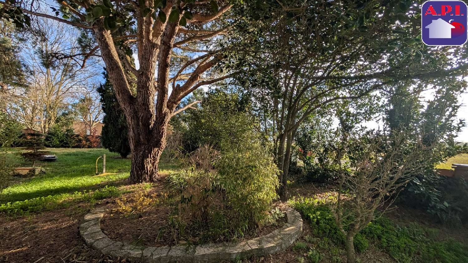 à vendre maison Montbrun-Lauragais Haute-Garonne 2