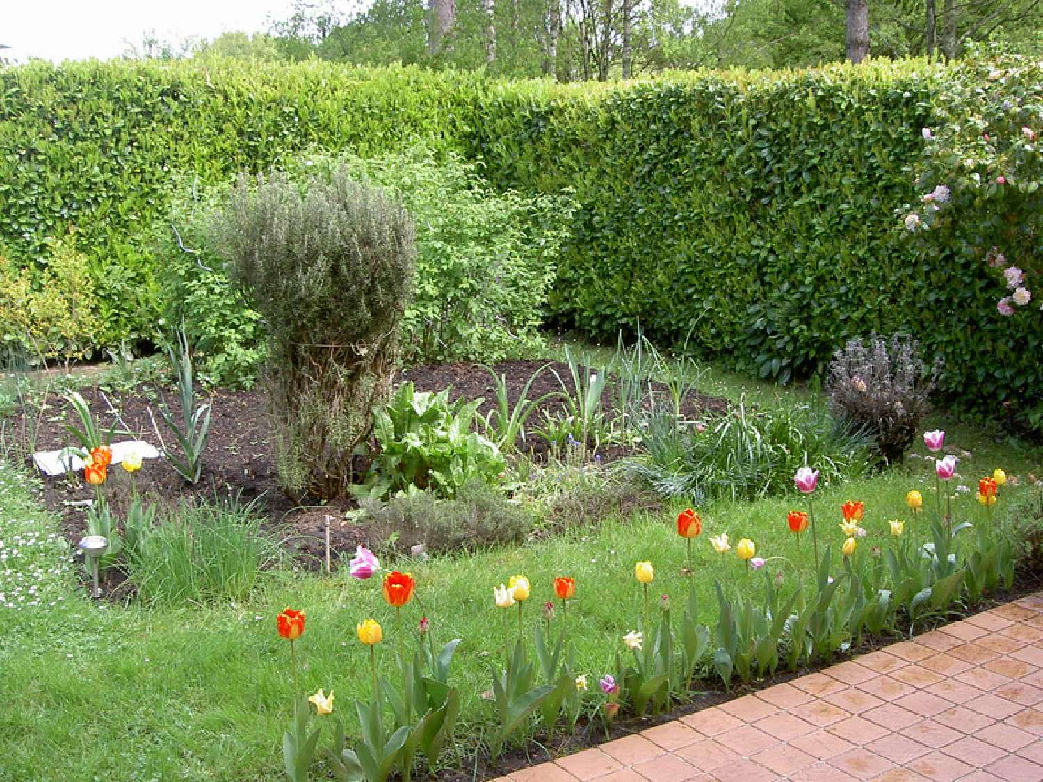 en venta casa Montigny-le-Bretonneux Yvelines 2