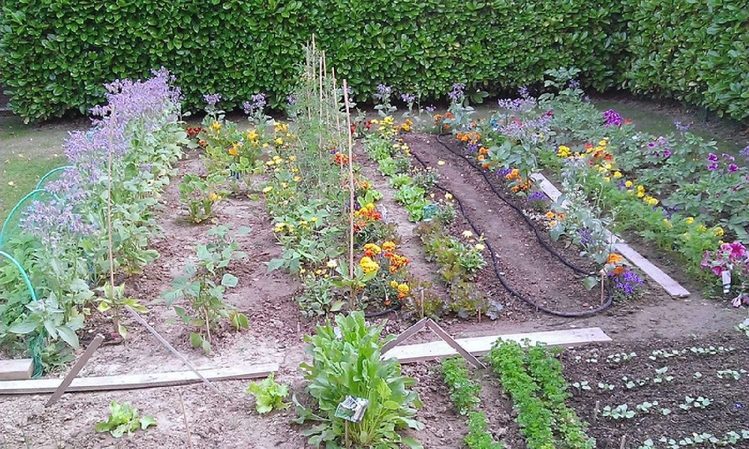 en venta casa Montigny-le-Bretonneux Yvelines 4