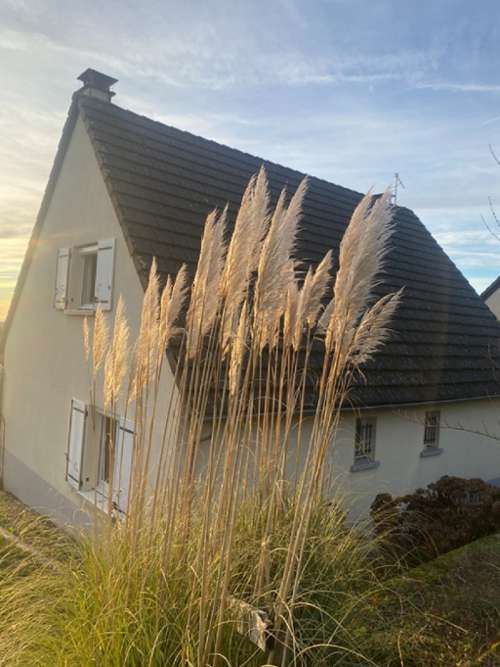 Montsalvy Cantal huis foto 7228800