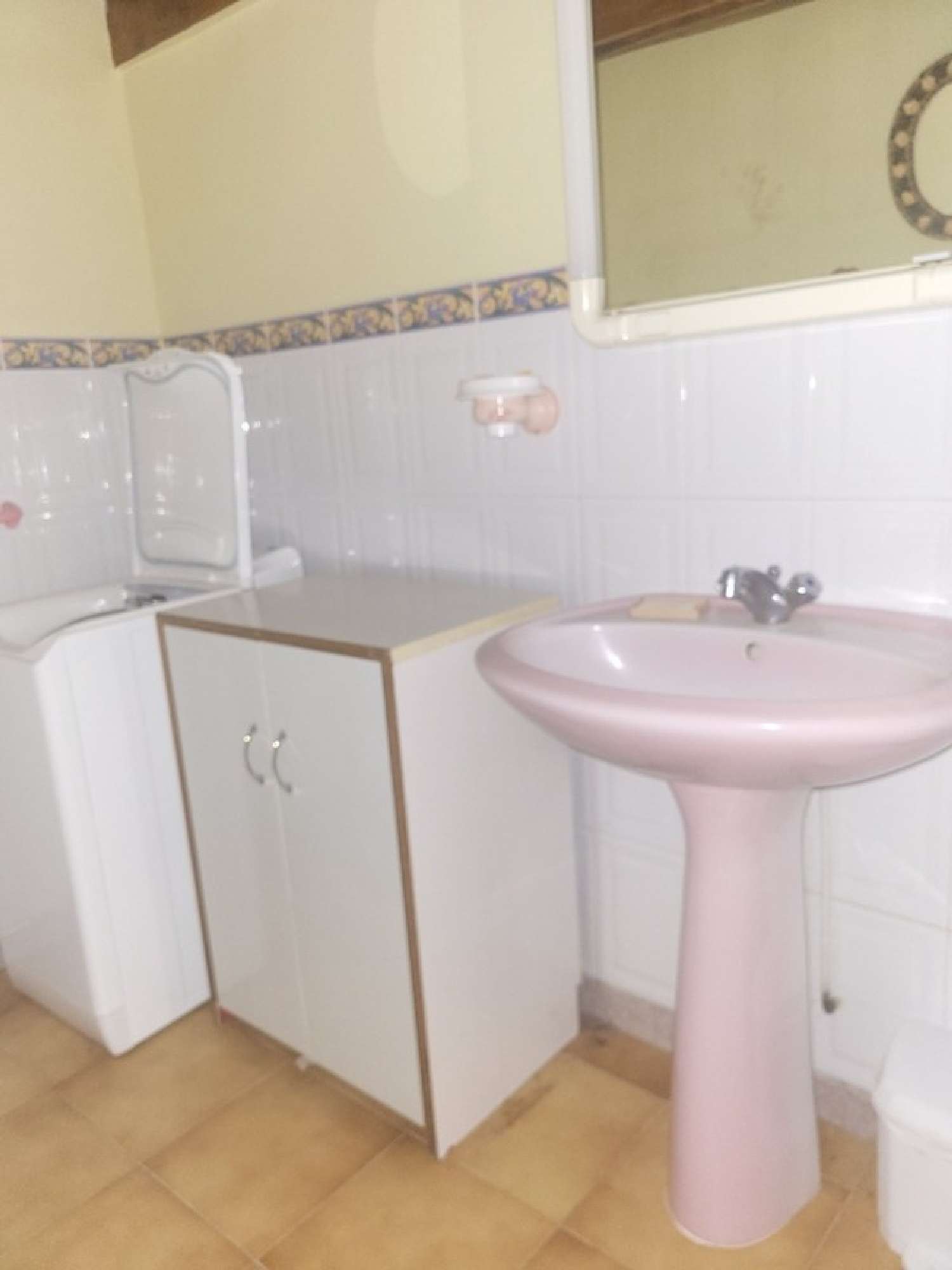  te koop huis Moulin-Mage Tarn 7