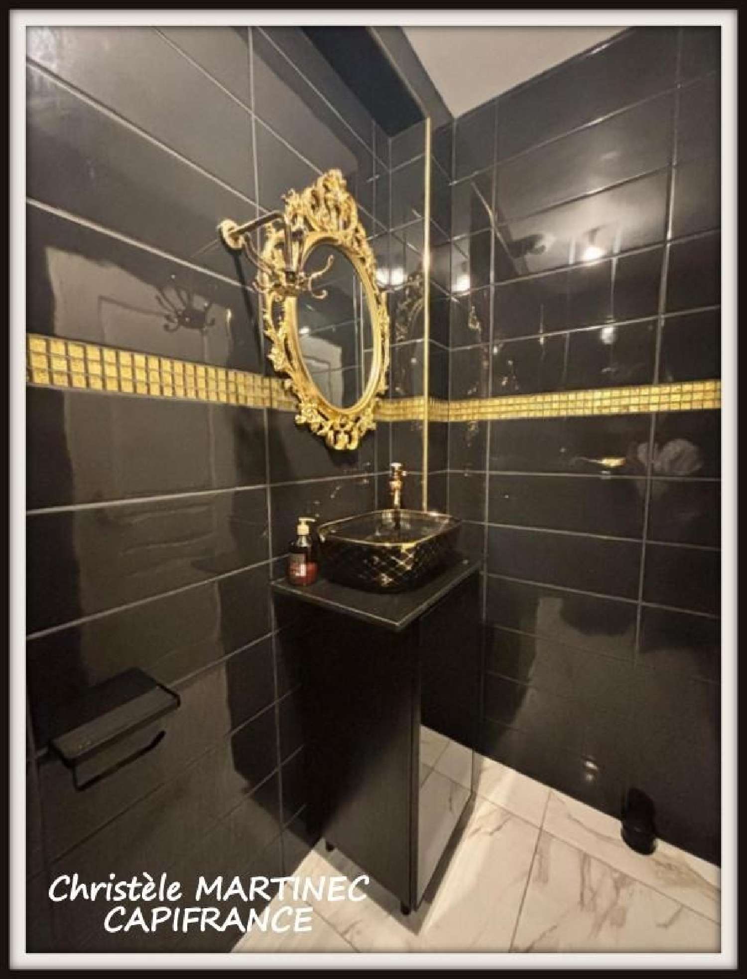 kaufen Haus Nailly Yonne 8