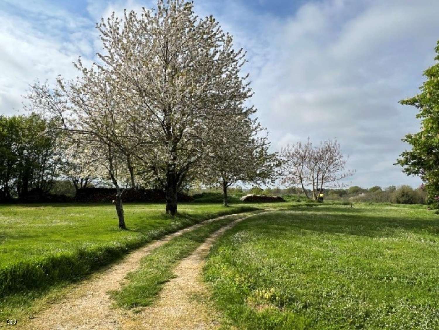  for sale house Nanteuil-en-Vallée Charente 6