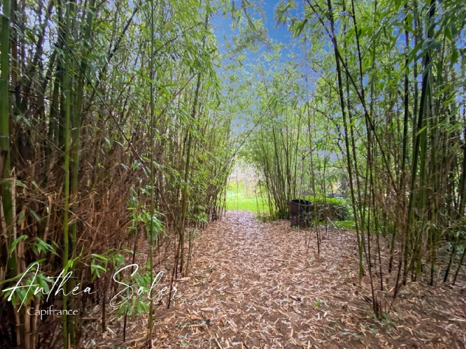  à vendre maison Neuilly Nièvre 4