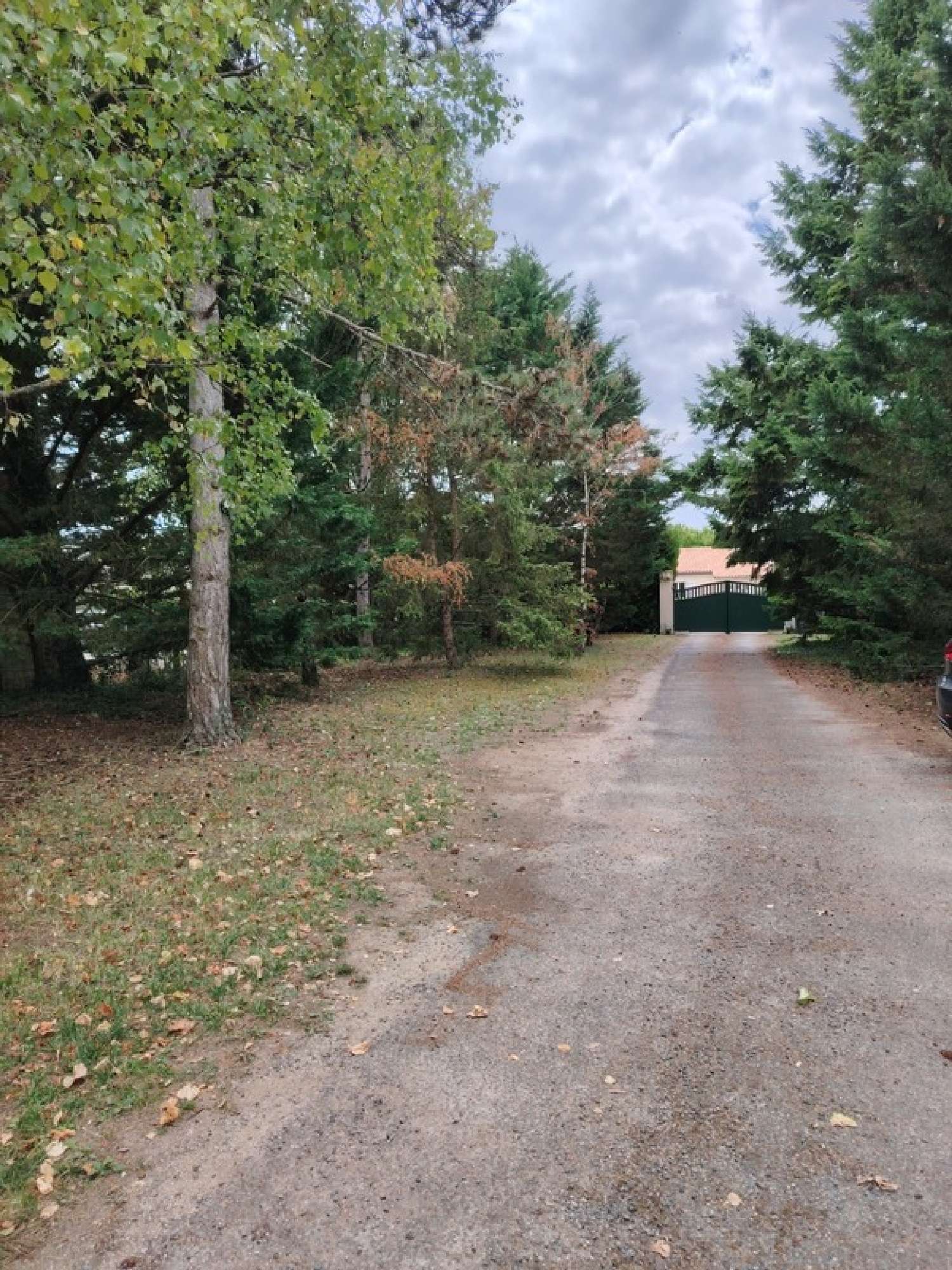 kaufen Haus Neuville-De-Poitou Vienne 3