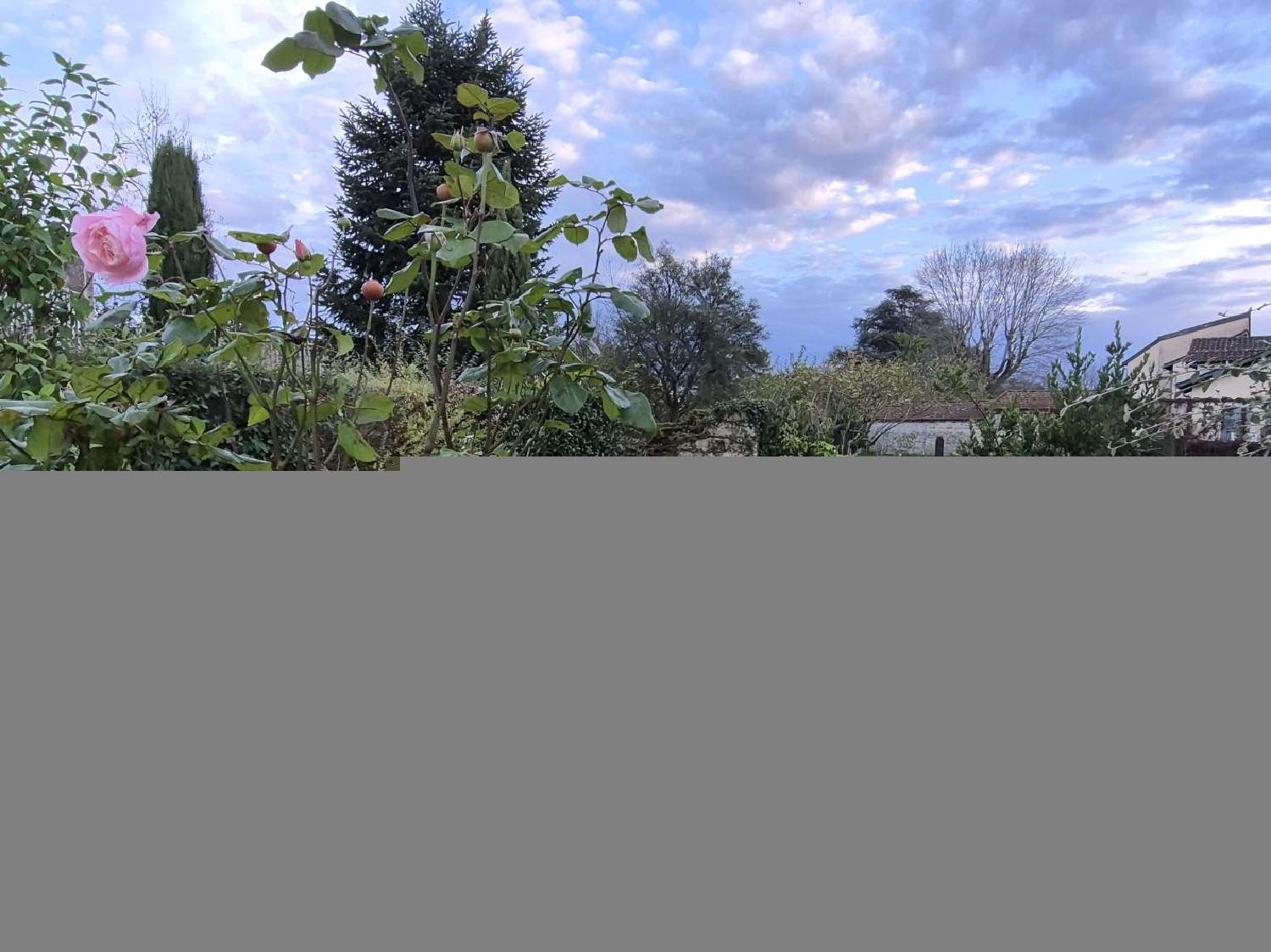 kaufen Haus Neuville-les-Dames Ain 2