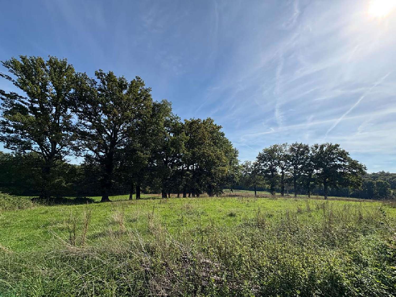  à vendre maison Nexon Haute-Vienne 2