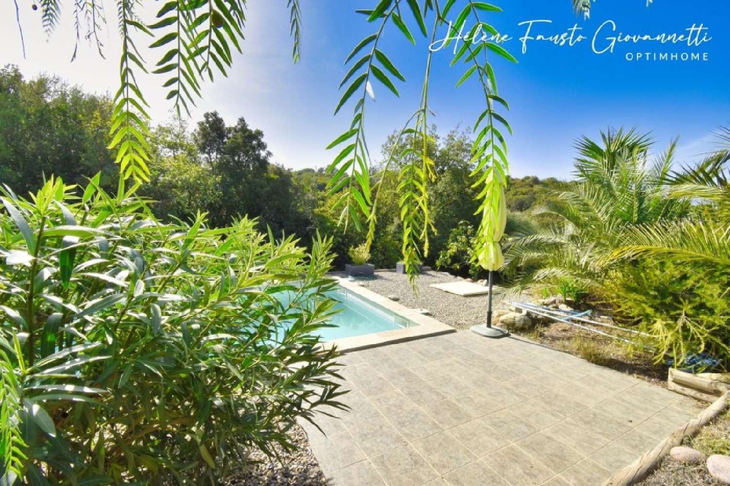  te koop huis Oletta Haute-Corse 1