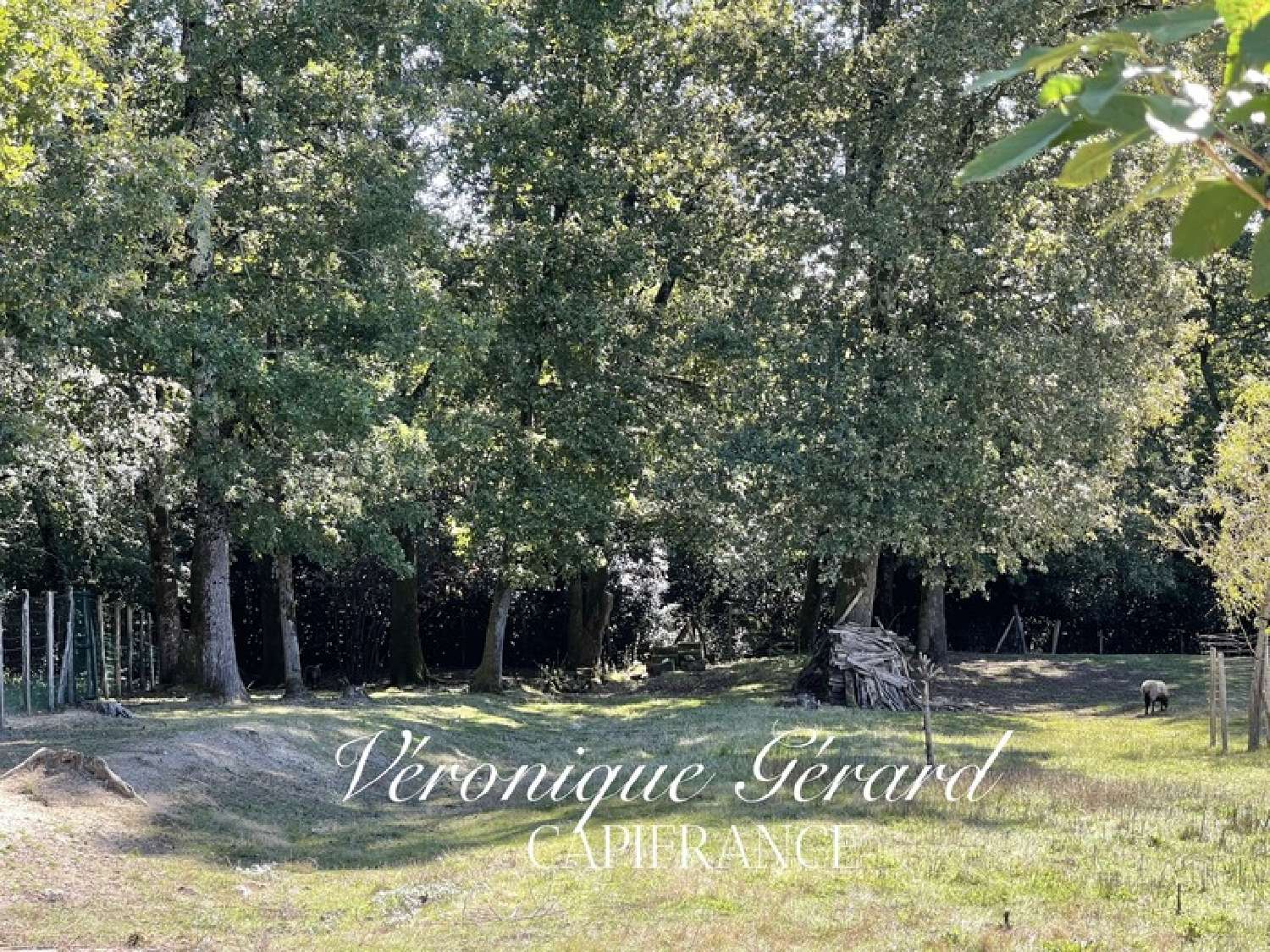 for sale house Orignolles Charente-Maritime 4