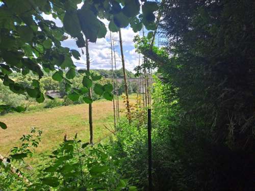  for sale house Origny-en-Thiérache Aisne 7