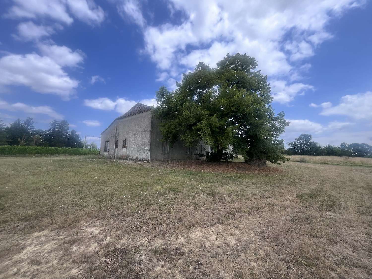 te koop huis Pellegrue Gironde 2