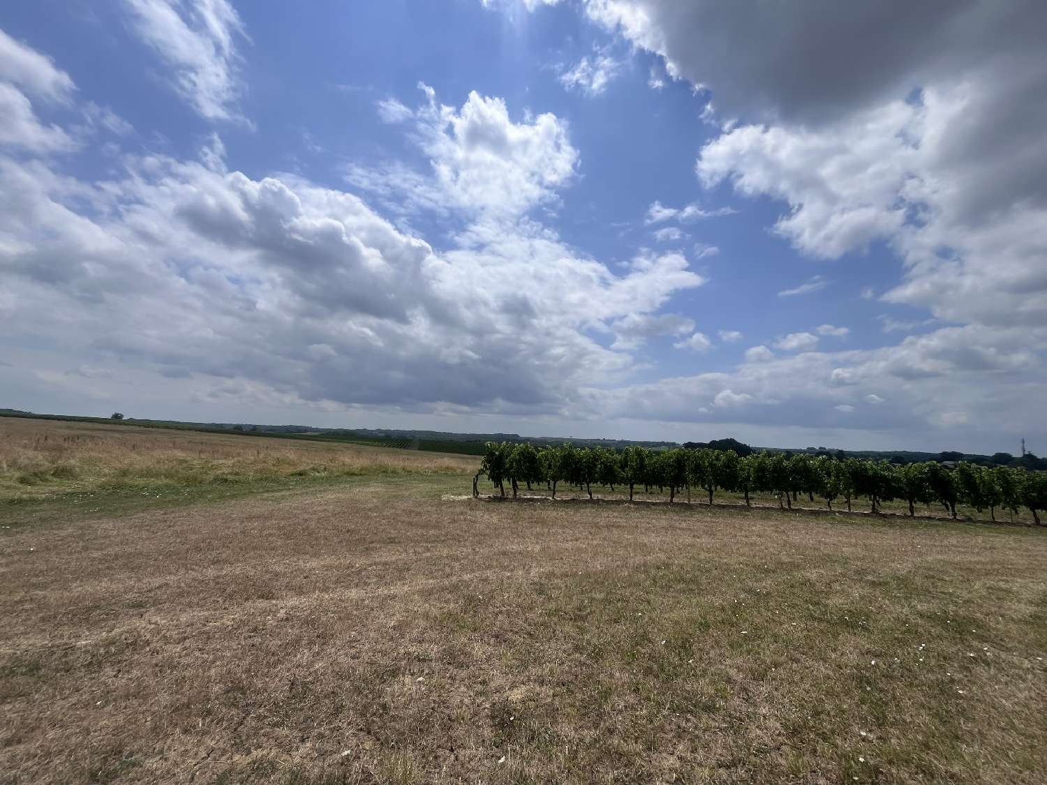 te koop huis Pellegrue Gironde 3