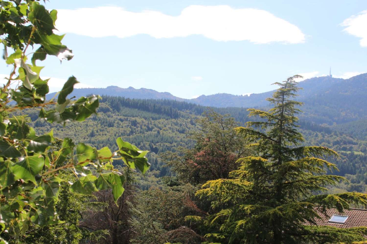 for sale house Pélussin Loire 5