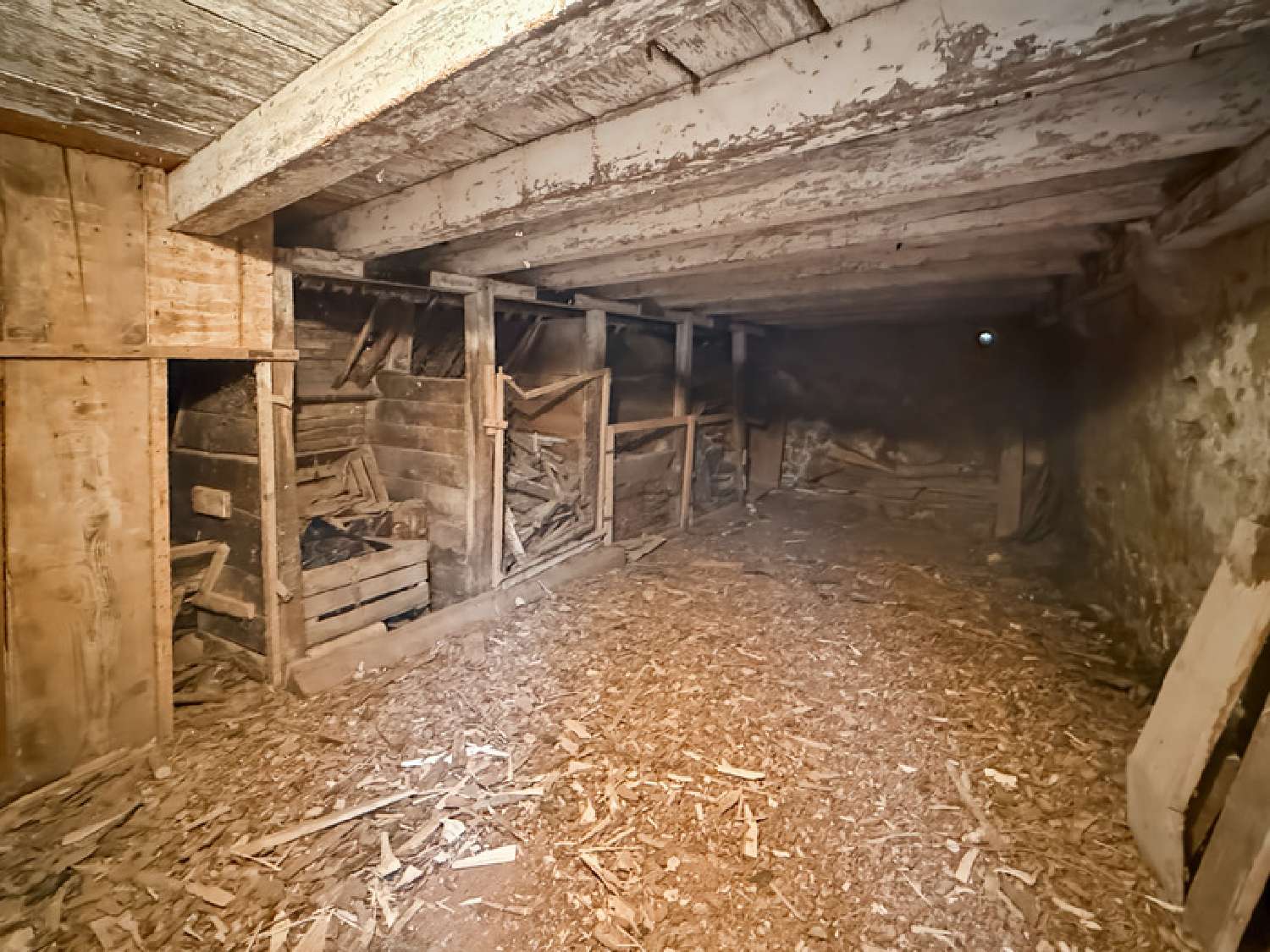  te koop huis Péron Ain 7