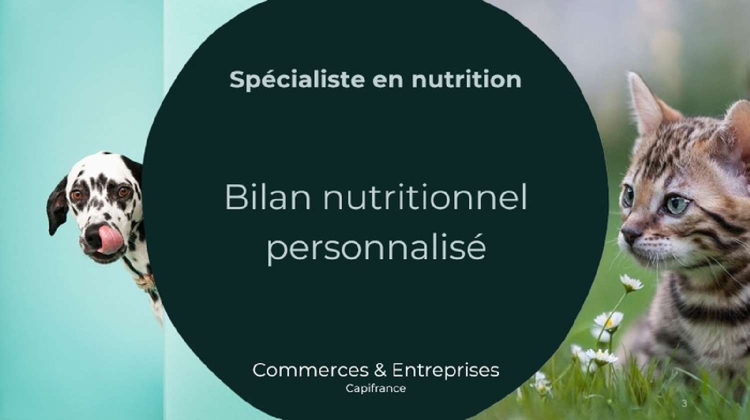  te koop huis Pertuis Vaucluse 3