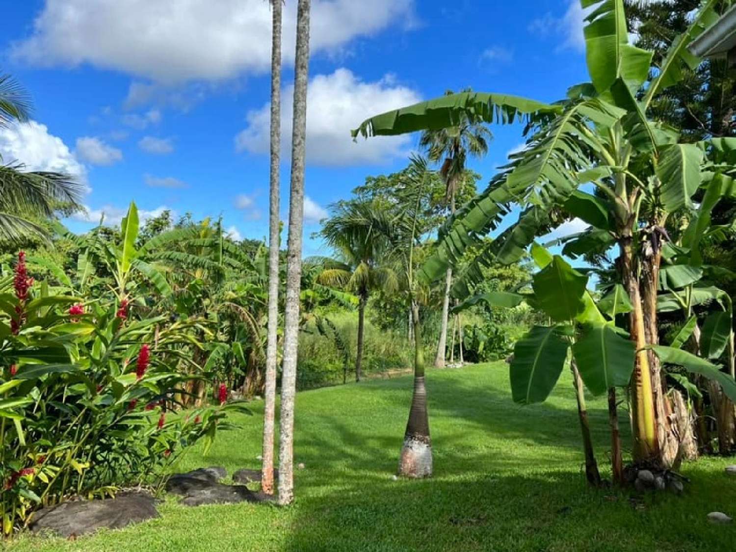  for sale house Petit-Bourg Guadeloupe 1