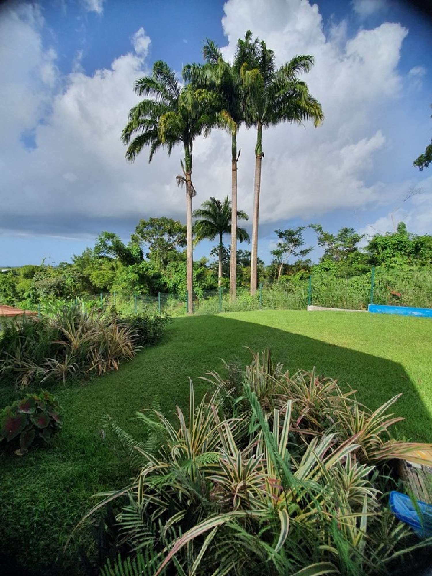 for sale house Petit-Bourg Guadeloupe 4