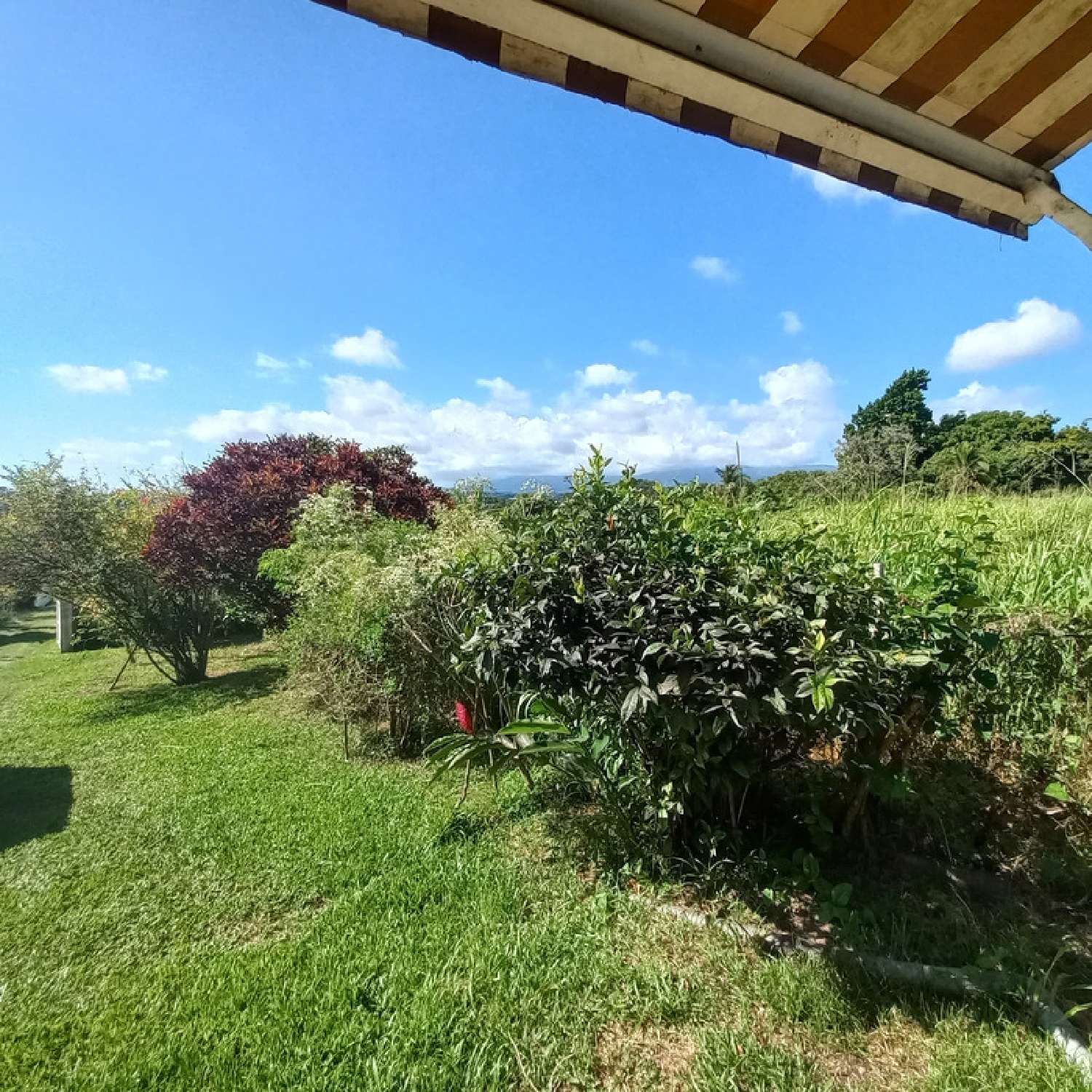 for sale house Petit-Bourg Guadeloupe 1