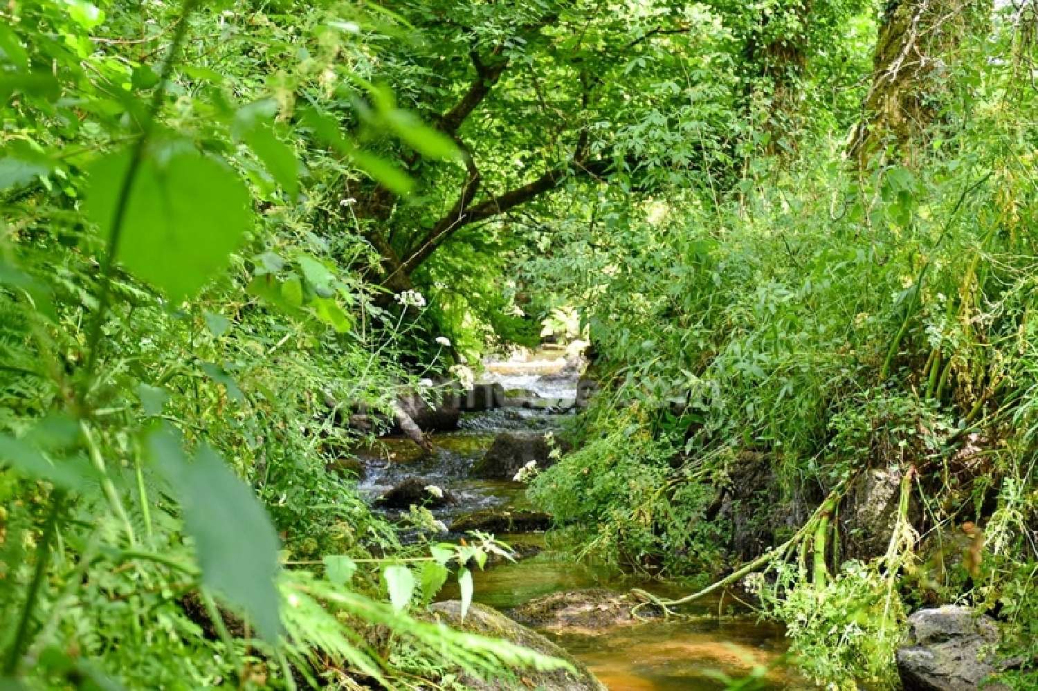  à vendre maison Plésidy Côtes-d'Armor 3