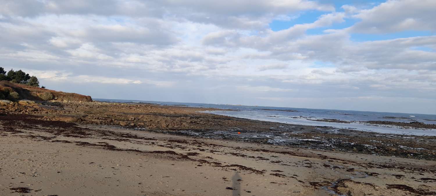  te koop huis Pleubian Côtes-d'Armor 5