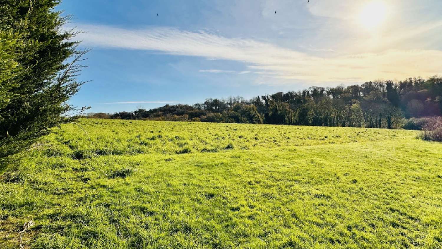  te koop huis Plomodiern Finistère 3