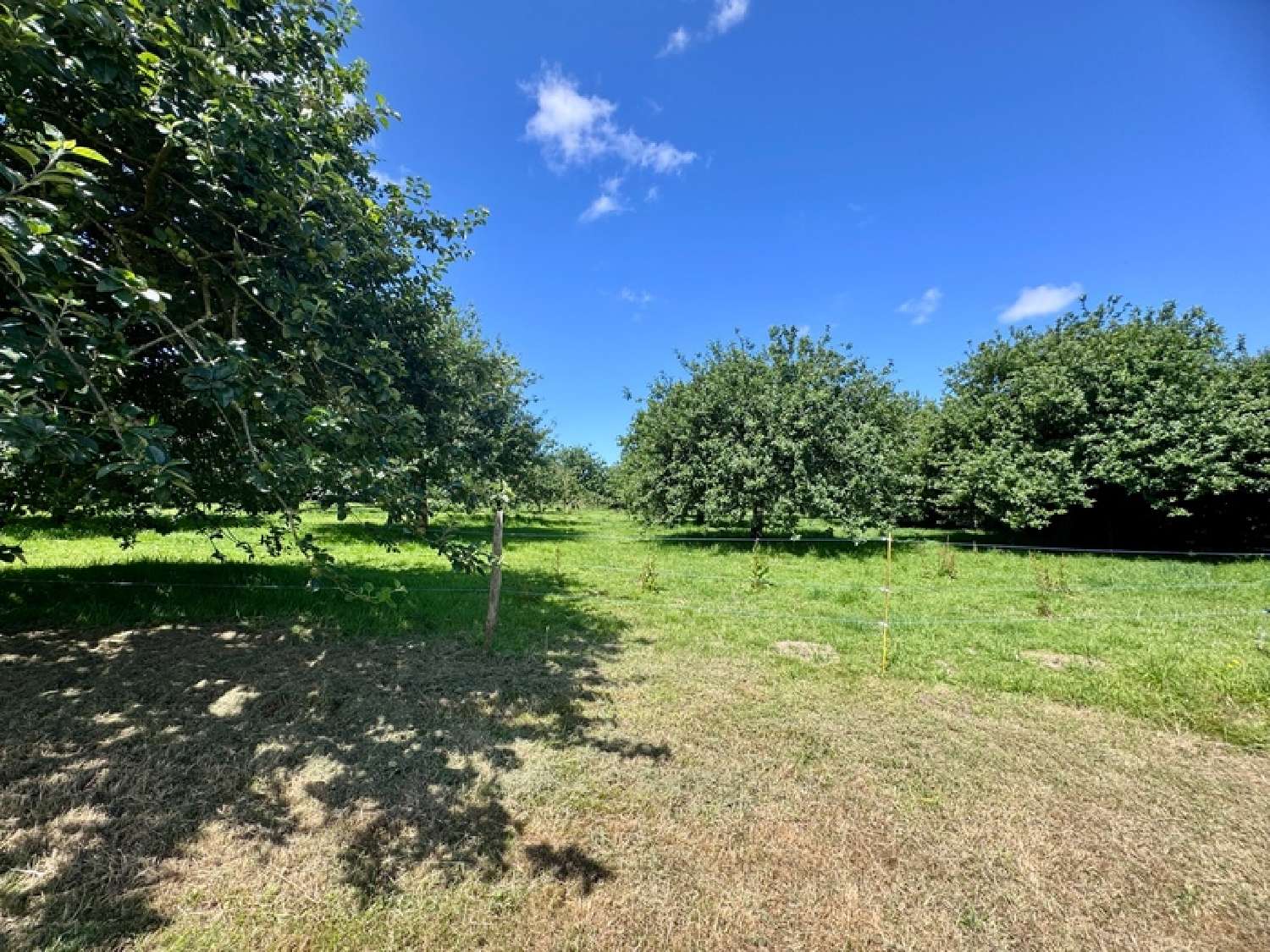  te koop huis Plouguin Finistère 3