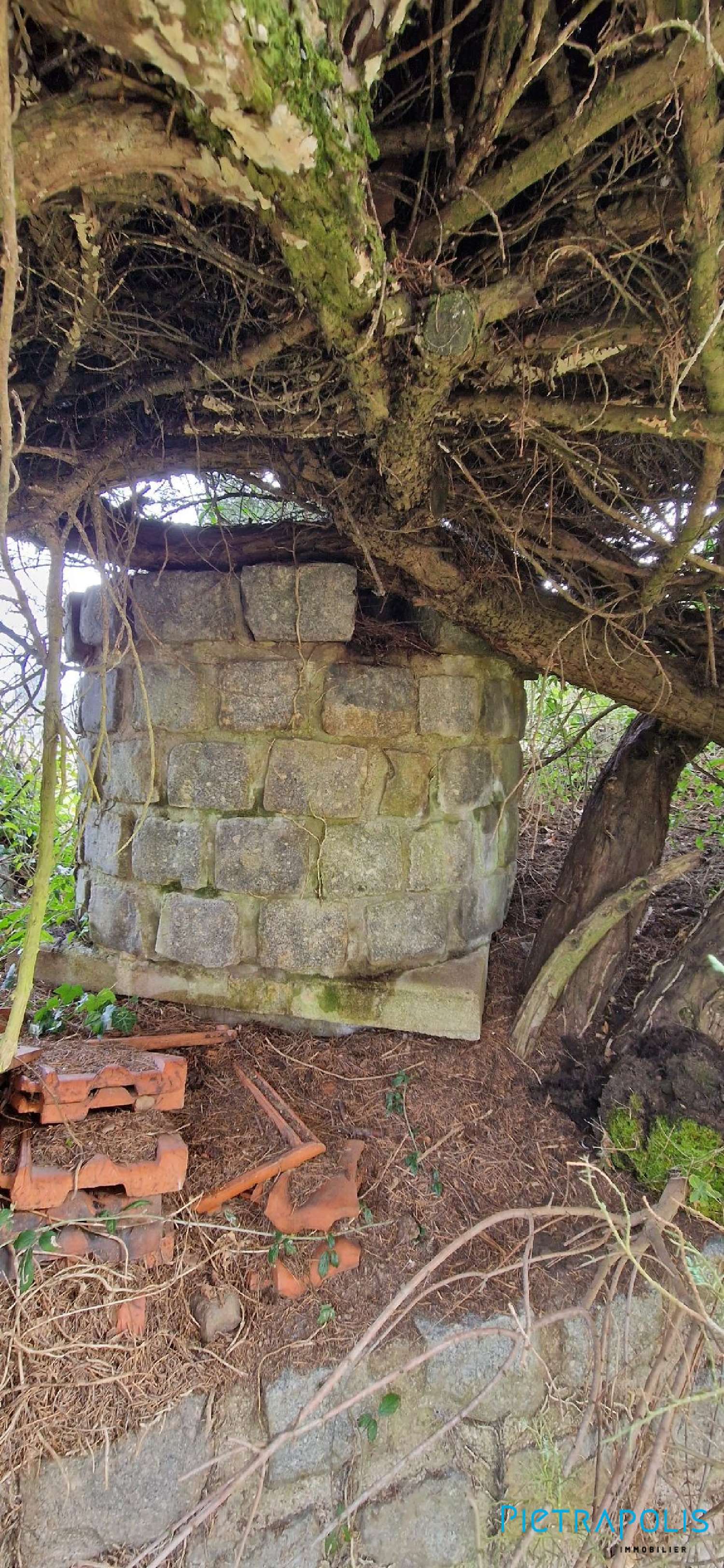  kaufen Haus Pontcharra-sur-Turdine Rhône 8