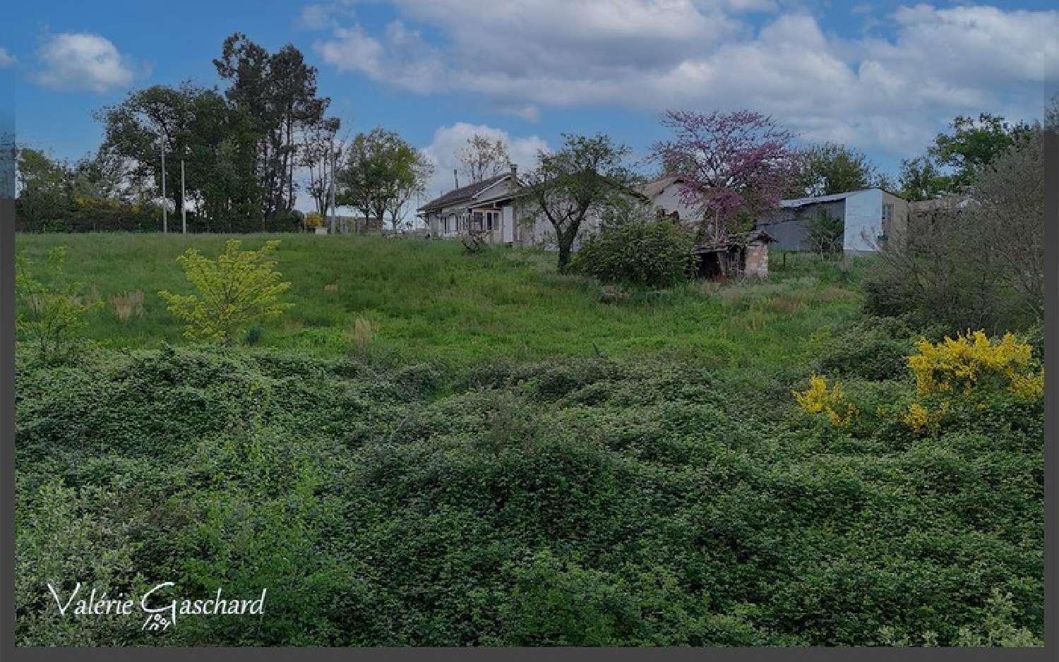 à vendre maison Porchères Gironde 5