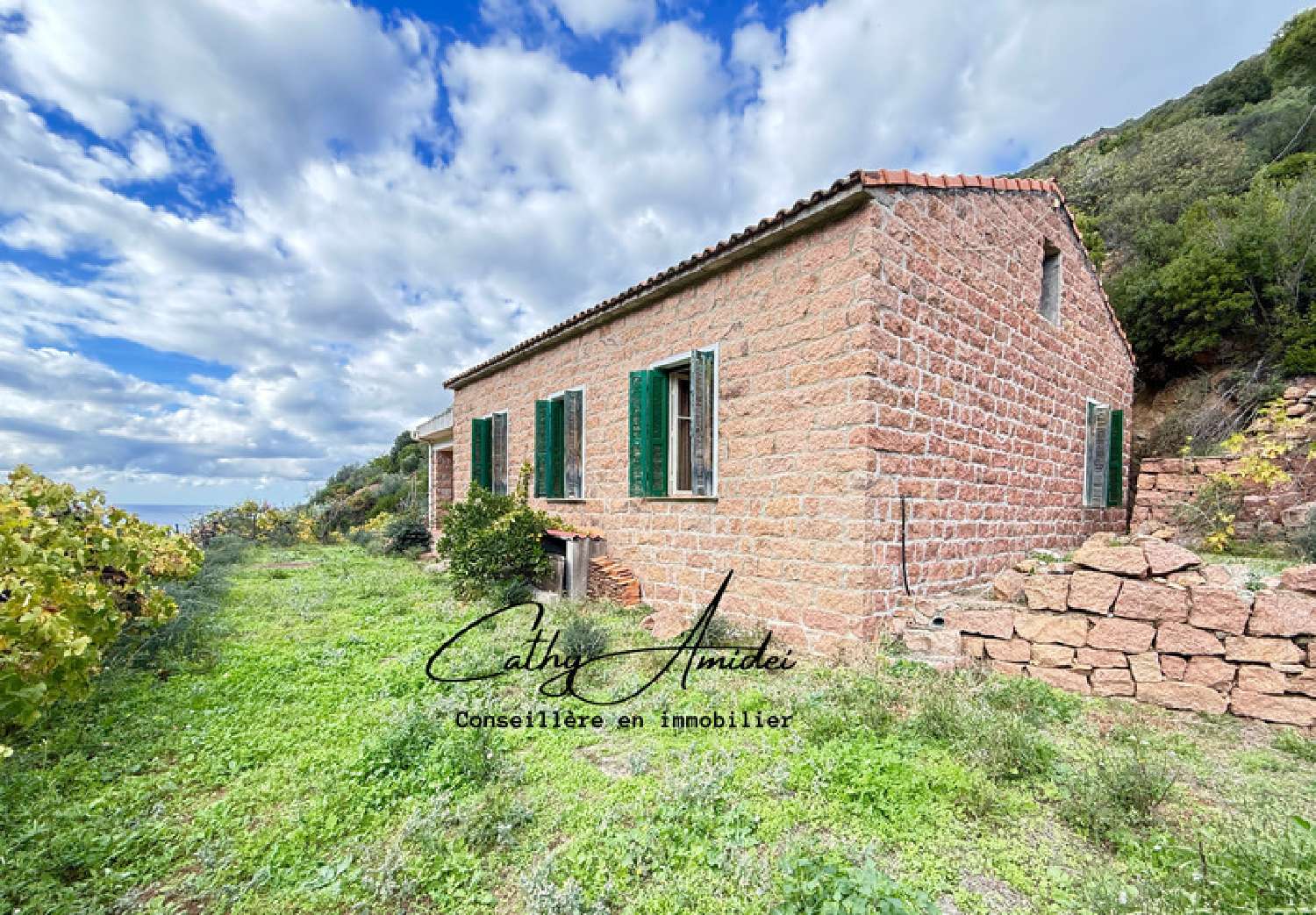 te koop huis Porto Corse-du-Sud 1