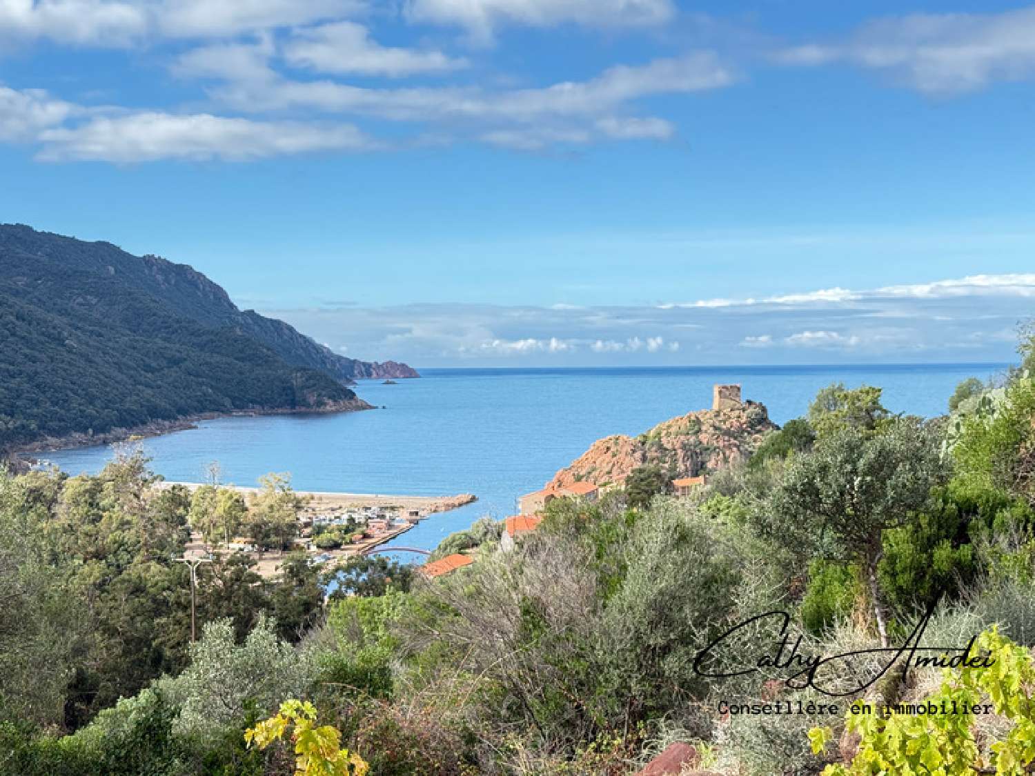 te koop huis Porto Corse-du-Sud 2