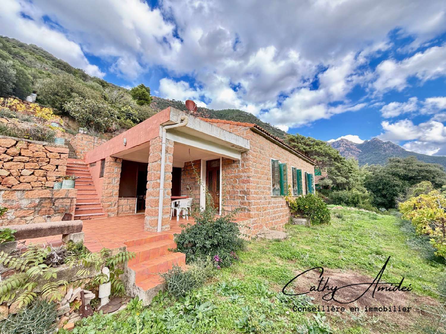 te koop huis Porto Corse-du-Sud 3