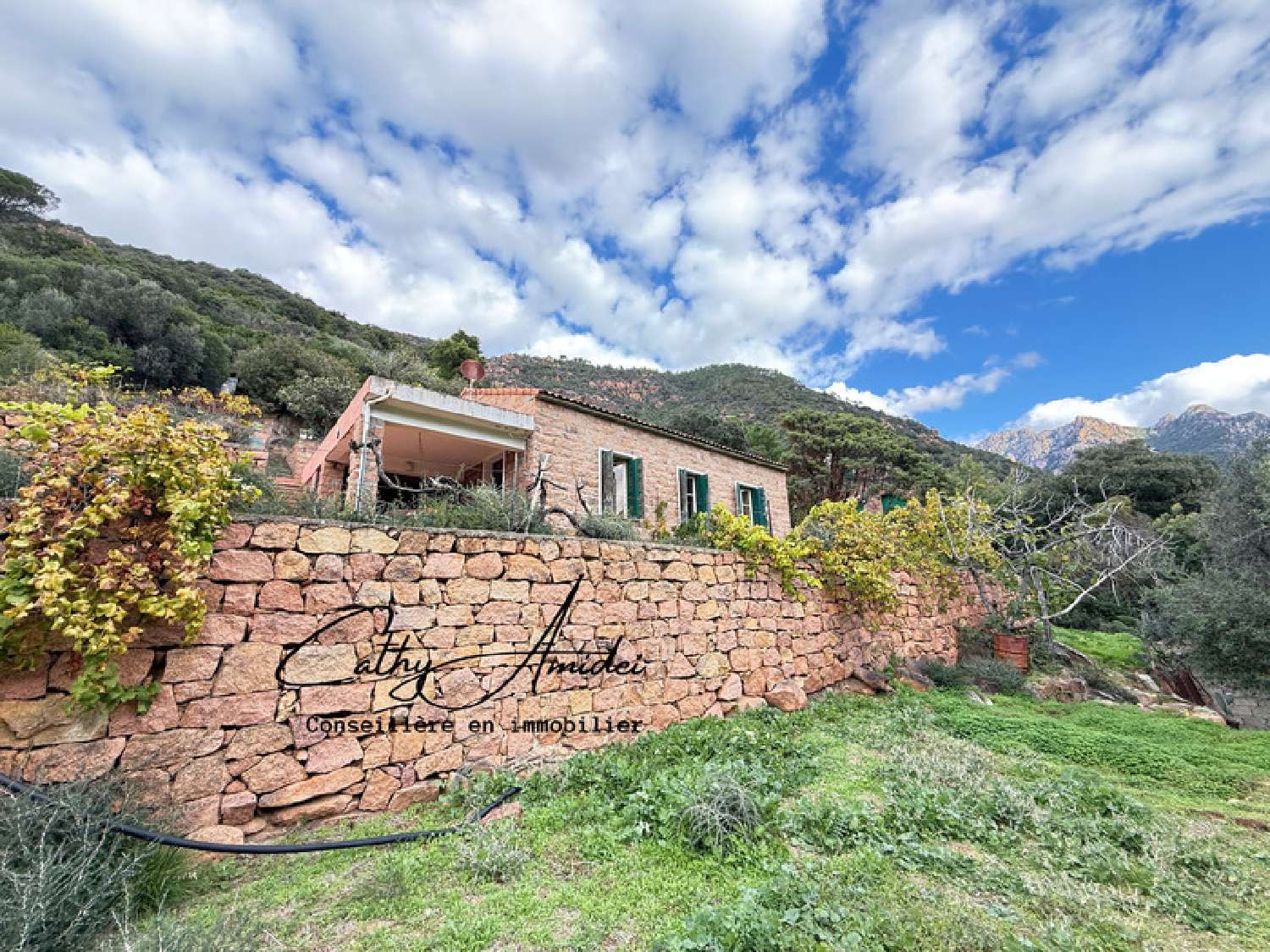 te koop huis Porto Corse-du-Sud 4