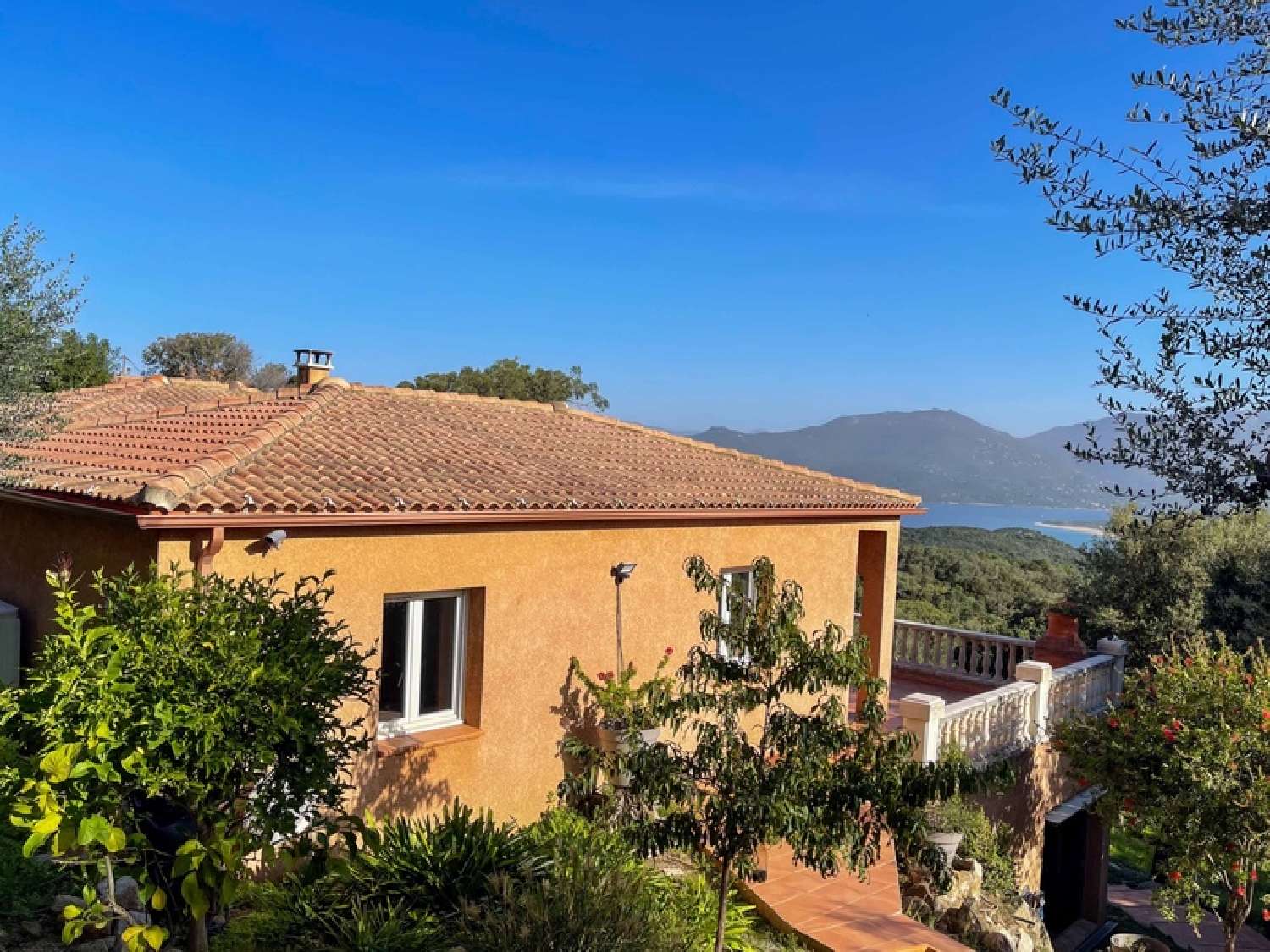 kaufen Haus Propriano Corse-du-Sud 2