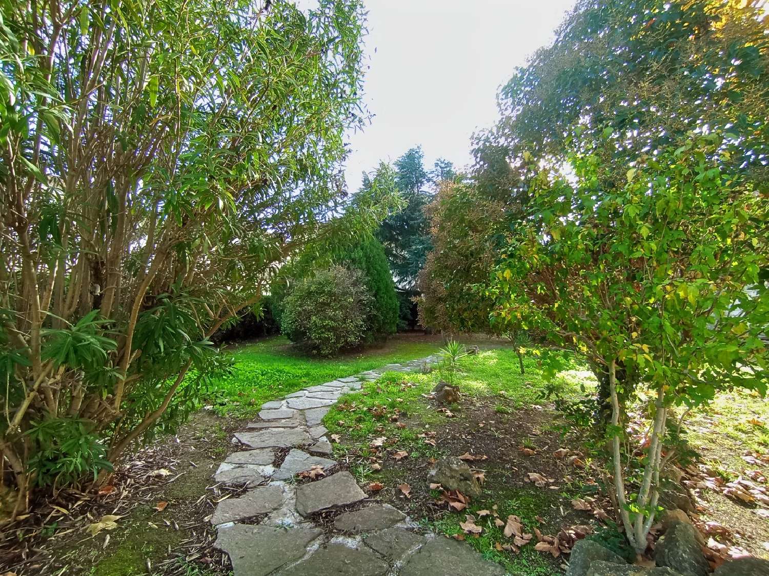  à vendre maison Puisserguier Hérault 4