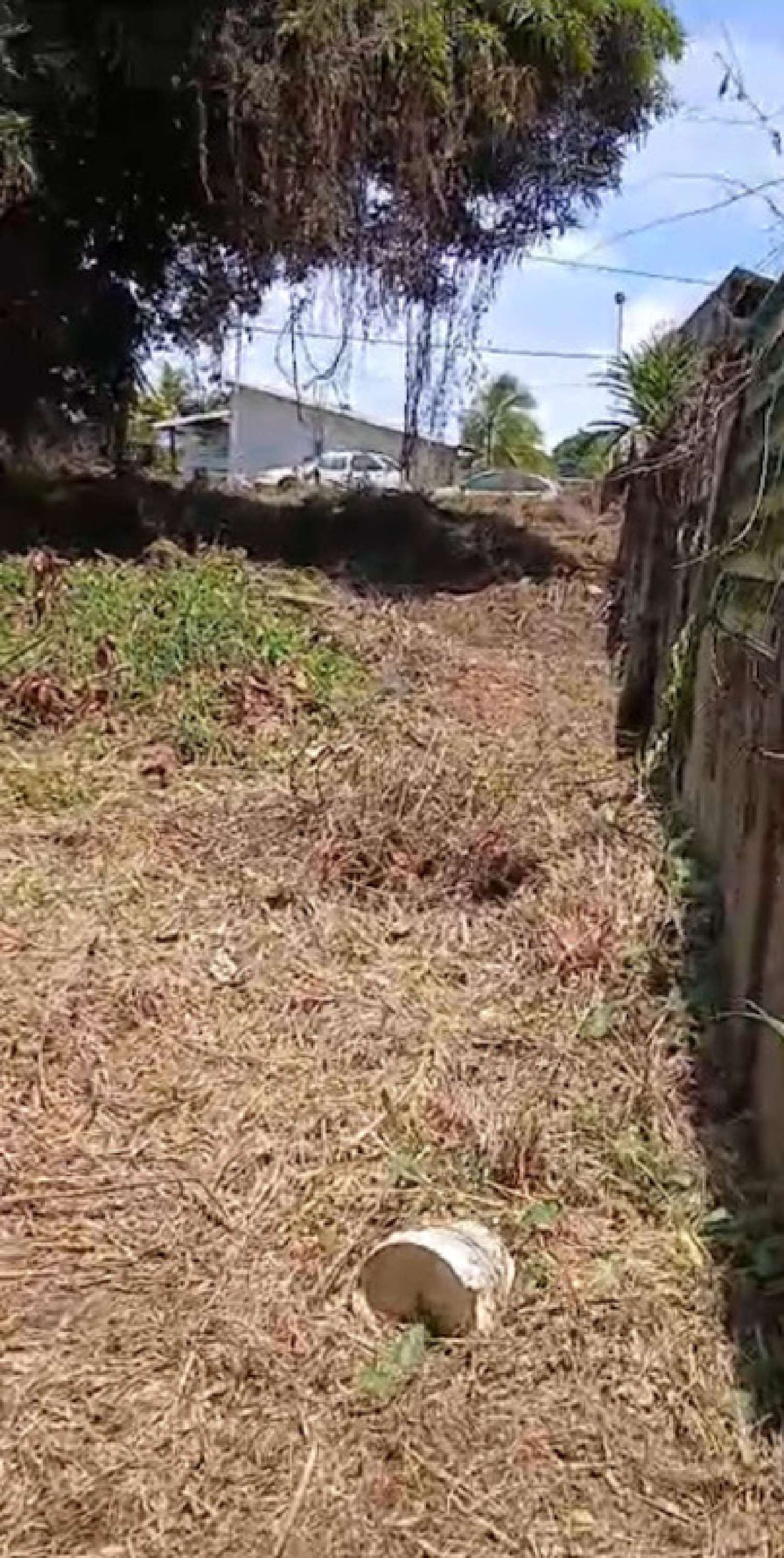 te koop huis Remire-Montjoly Guyane 2